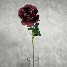 Load image into Gallery viewer, Rose Austin 72cm Single Heads Artificial Flower Stem burgundy
