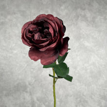Load image into Gallery viewer, Rose Austin 72cm Single Heads Artificial Flower Stem burgundy
