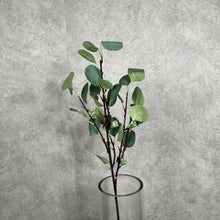 Load image into Gallery viewer, Eucalyptus with Fruit Artificial Greenery 66cm Stem EUCALYPTUS0001
