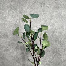 Load image into Gallery viewer, Eucalyptus with Fruit Artificial Greenery 66cm Stem EUCALYPTUS0001
