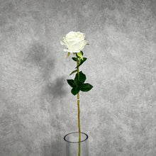 Load image into Gallery viewer, Rose Austin 72cm Artificial Silk Flower White ROSEAUSTIN059
