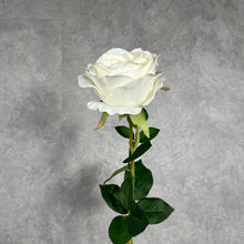 Load image into Gallery viewer, Rose Austin 72cm Artificial Silk Flower White ROSEAUSTIN059
