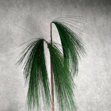 Load image into Gallery viewer, Pine Branch 007
