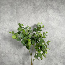 Load image into Gallery viewer, Eucalyptus Artificial Greenery 70cm Green EUCALYPTUS0004
