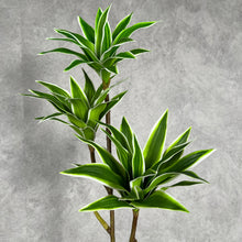 Load image into Gallery viewer, Dracaena Artificial Silk Flowers Green DRACAENA001
