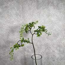 Load image into Gallery viewer, Berry0007 Green
