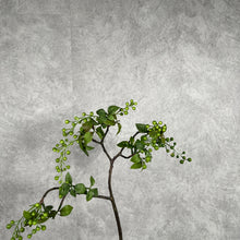 Load image into Gallery viewer, Berry0007 Green
