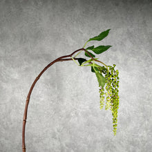 Load image into Gallery viewer, Phytolacca green
