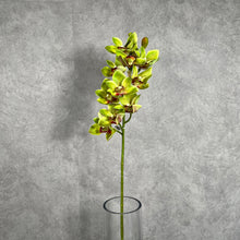 Load image into Gallery viewer, Orchid Cymbidium 10 Heads Artificial Silk Flower Green ORCHID043

