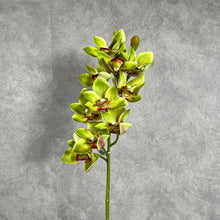 Load image into Gallery viewer, Orchid Cymbidium 10 Heads Artificial Silk Flower Green ORCHID043
