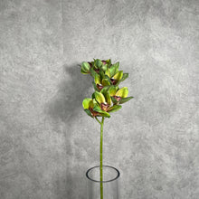 Load image into Gallery viewer, Orchid Artificial Silk Flower Green ORCHID0018
