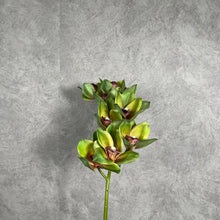 Load image into Gallery viewer, Orchid Artificial Silk Flower Green ORCHID0018
