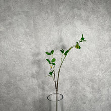 Load image into Gallery viewer, Aglaia Odorata Artificial Flowers Leaves Stem AGLAIA001
