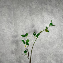 Load image into Gallery viewer, Aglaia Odorata Artificial Flowers Leaves Stem AGLAIA001
