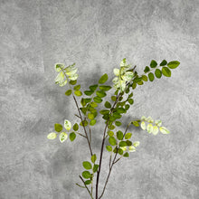 Load image into Gallery viewer, Greenery0014 Green
