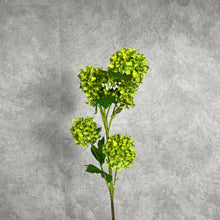 Load image into Gallery viewer, Snowball 5 Heads Artificial Silk Flower 78cm SNOWBALL003 green
