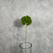 Load image into Gallery viewer, TRICKDIANTHUS001

