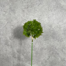Load image into Gallery viewer, TRICKDIANTHUS001
