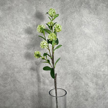 Load image into Gallery viewer, Hydrangea Small Green
