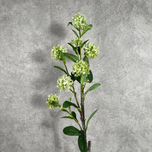 Load image into Gallery viewer, Hydrangea Small Green
