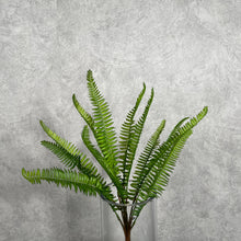 Load image into Gallery viewer, Fern0004 Green
