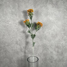 Load image into Gallery viewer, Lobularia002
