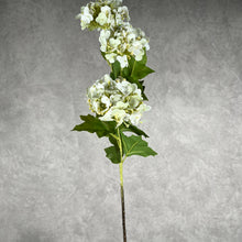 Load image into Gallery viewer, Hydrangea0023 3 heads white
