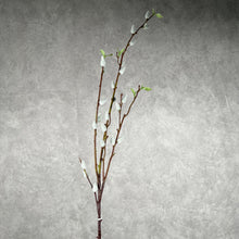 Load image into Gallery viewer, Pussy Willow 002
