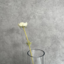 Load image into Gallery viewer, Anemone Artificial Silk Flower White ANEMONE0005
