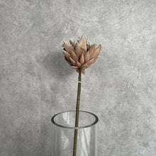 Load image into Gallery viewer, Protea Artificial Silk Flower Dry Brown PROTEA0012
