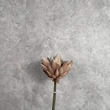 Load image into Gallery viewer, Protea Artificial Silk Flower Dry Brown PROTEA0012
