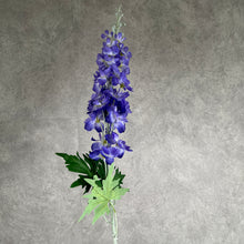 Load image into Gallery viewer, Delphinium Dark Purple

