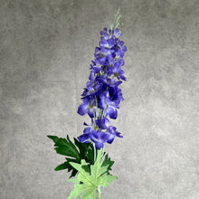 Load image into Gallery viewer, Delphinium Dark Purple
