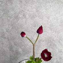 Load image into Gallery viewer, Windflower Burgundy
