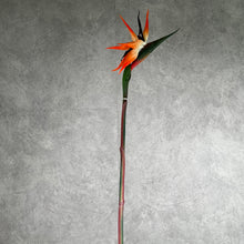 Load image into Gallery viewer, Strelitzia Bird of Paradise Artificial Silk Flower Stem Orange STRELITZIA002

