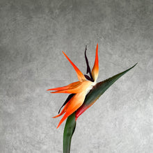 Load image into Gallery viewer, Strelitzia Bird of Paradise Artificial Silk Flower Stem Orange STRELITZIA002
