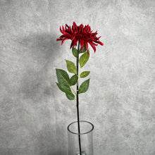 Load image into Gallery viewer, Dahlia Red
