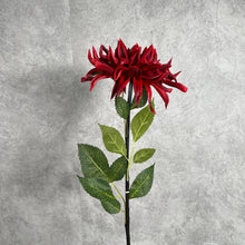 Load image into Gallery viewer, Dahlia Red
