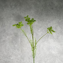 Load image into Gallery viewer, Lacef White Green
