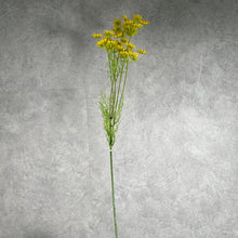 Load image into Gallery viewer, Lacef Yellow
