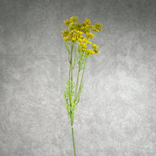 Load image into Gallery viewer, Lacef Yellow
