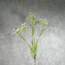 Load image into Gallery viewer, Lacef White
