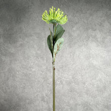 Load image into Gallery viewer, Leucospermum Artificial Silk Flower 55cm Stem Green LEUCOSPERMUM002
