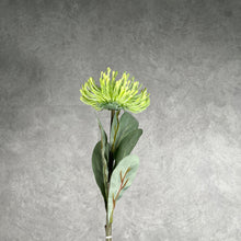 Load image into Gallery viewer, Leucospermum Artificial Silk Flower 55cm Stem Green LEUCOSPERMUM002
