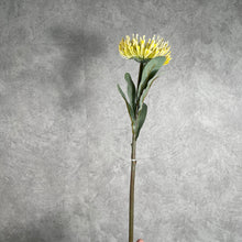 Load image into Gallery viewer, Leucospermum Artificial Silk Flower 55cm Stem Yellow LEUCOSPERMUM001
