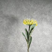 Load image into Gallery viewer, Leucospermum Artificial Silk Flower 55cm Stem Yellow LEUCOSPERMUM001
