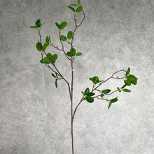 Load image into Gallery viewer, Greenery 0016 Green
