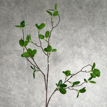Load image into Gallery viewer, Greenery 0016 Green
