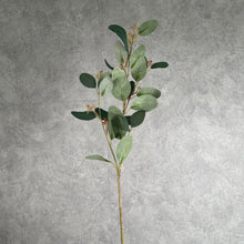 Load image into Gallery viewer, Eucalyptus Artificial Greenery 70cm 4 colors selections EUCALYPTUS Green
