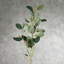 Load image into Gallery viewer, Eucalyptus Artificial Greenery 70cm 4 colors selections EUCALYPTUS Green
